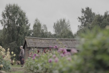 Vīrietis un dālijas